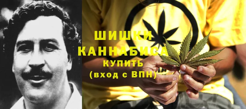 Конопля OG Kush  Кушва 